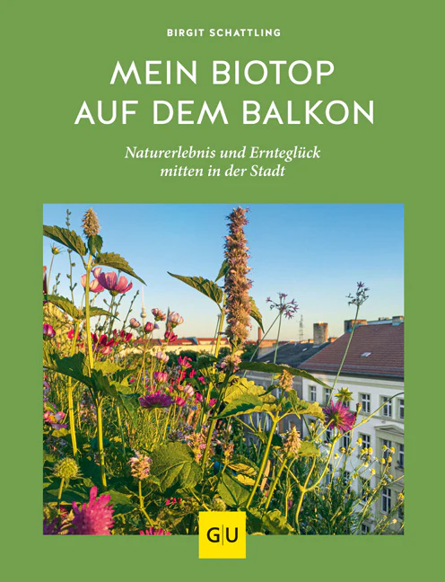 Vorschaubild 2